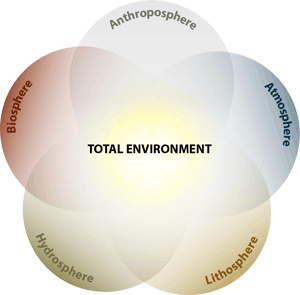 Science of the Total Environment - Journal - Elsevier